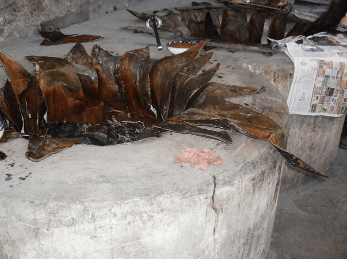 Maguey Leaves are used for the floor of the barbacoa oven.