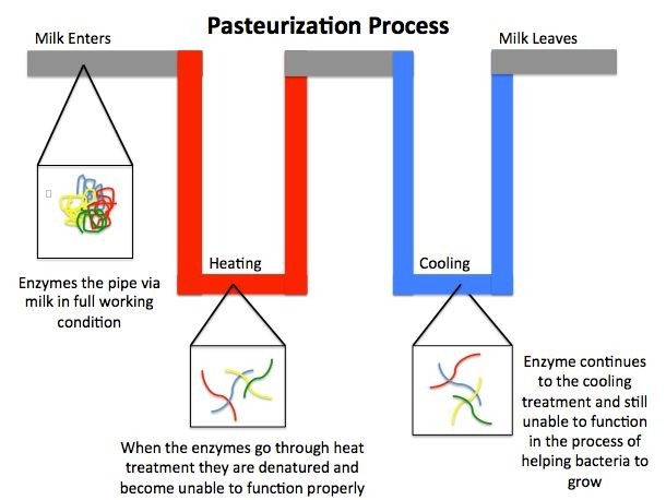 Pasteurization process